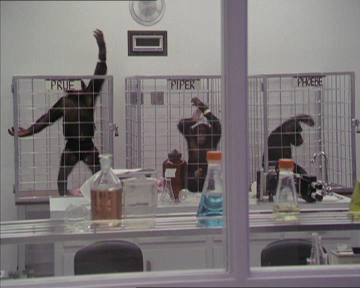 Charmed-Online-dot-220AstralMonkeys0959.jpg
