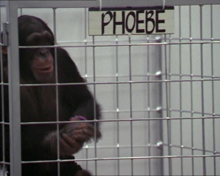 Charmed-Online-dot-220AstralMonkeys0969.jpg