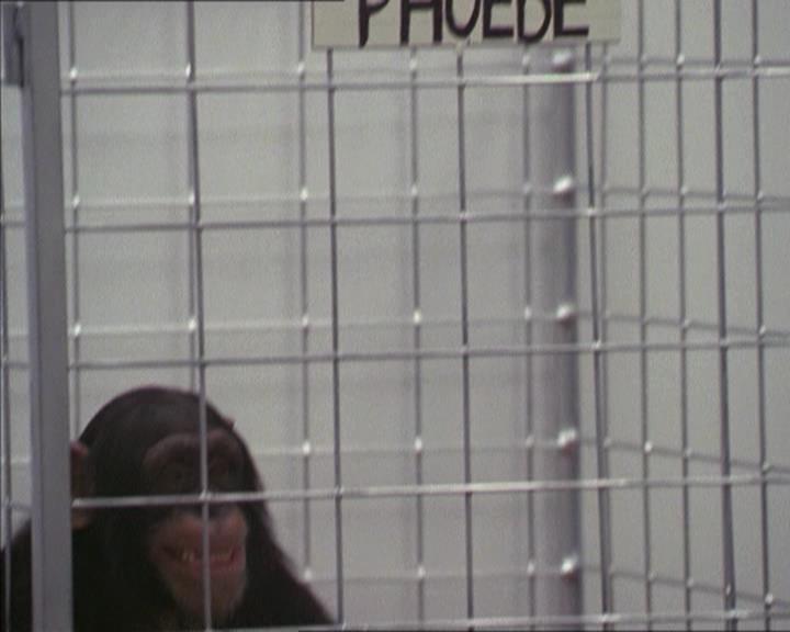 Charmed-Online-dot-220AstralMonkeys0982.jpg