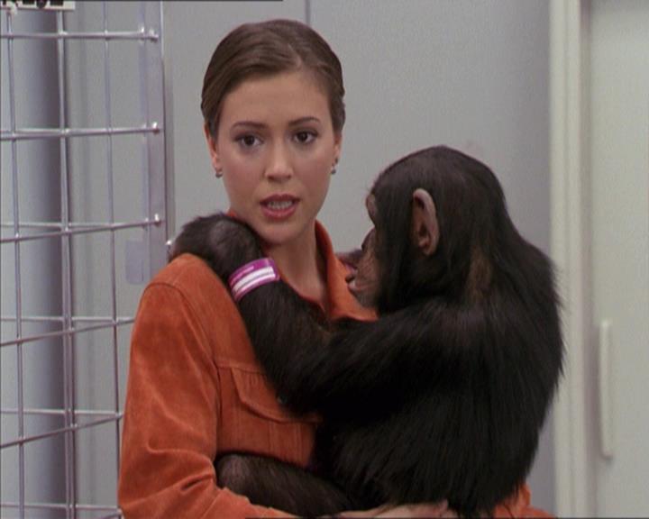 Charmed-Online-dot-220AstralMonkeys1061.jpg