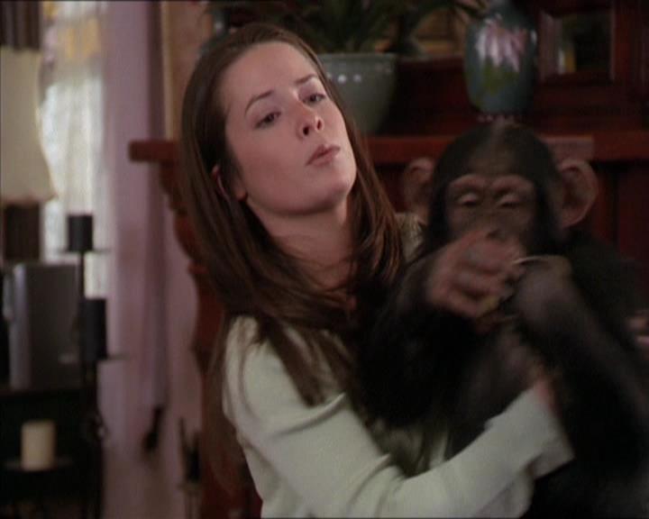 Charmed-Online-dot-220AstralMonkeys1380.jpg