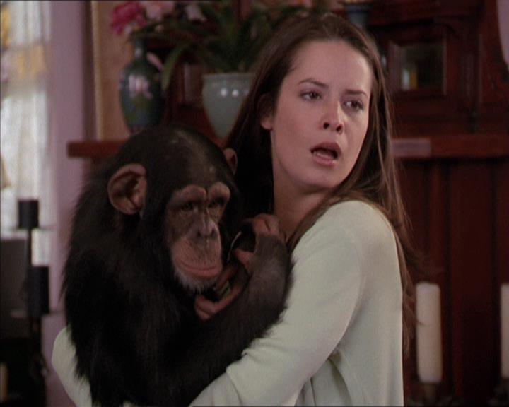 Charmed-Online-dot-220AstralMonkeys1406.jpg