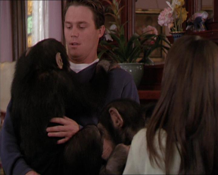 Charmed-Online-dot-220AstralMonkeys1423.jpg