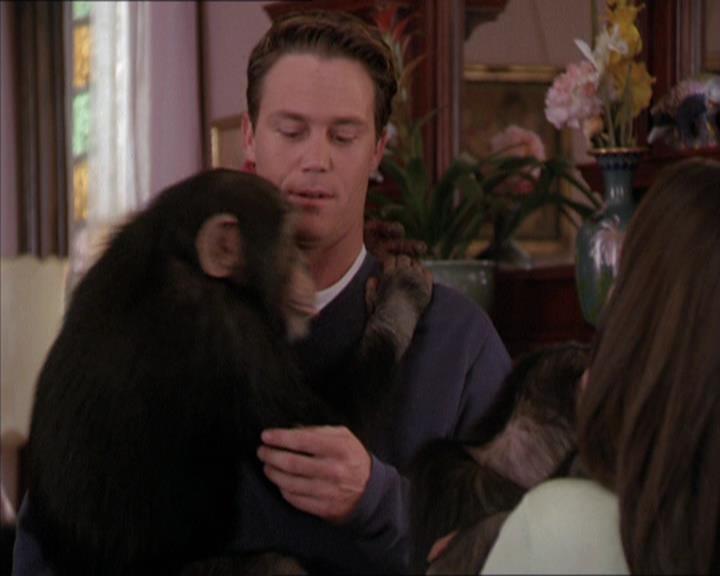 Charmed-Online-dot-220AstralMonkeys1430.jpg