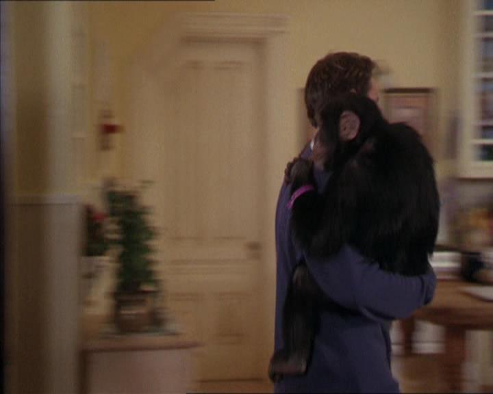 Charmed-Online-dot-220AstralMonkeys1436.jpg
