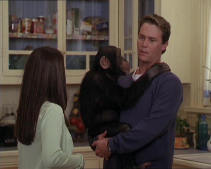 Charmed-Online-dot-220AstralMonkeys1448.jpg