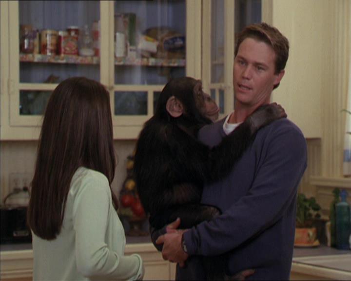 Charmed-Online-dot-220AstralMonkeys1449.jpg