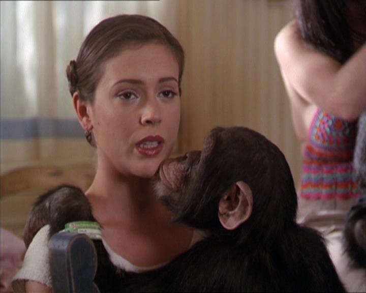 Charmed-Online-dot-220AstralMonkeys1461.jpg