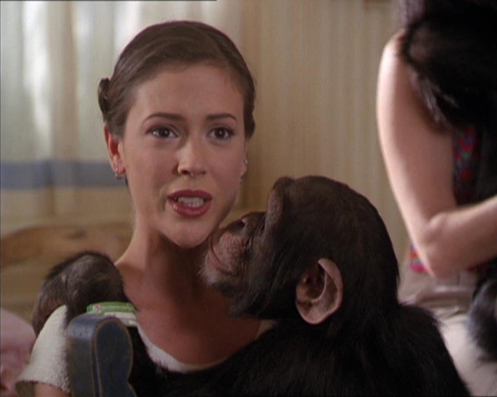 Charmed-Online-dot-220AstralMonkeys1464.jpg