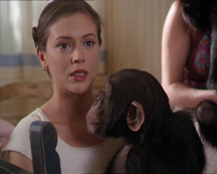 Charmed-Online-dot-220AstralMonkeys1500.jpg
