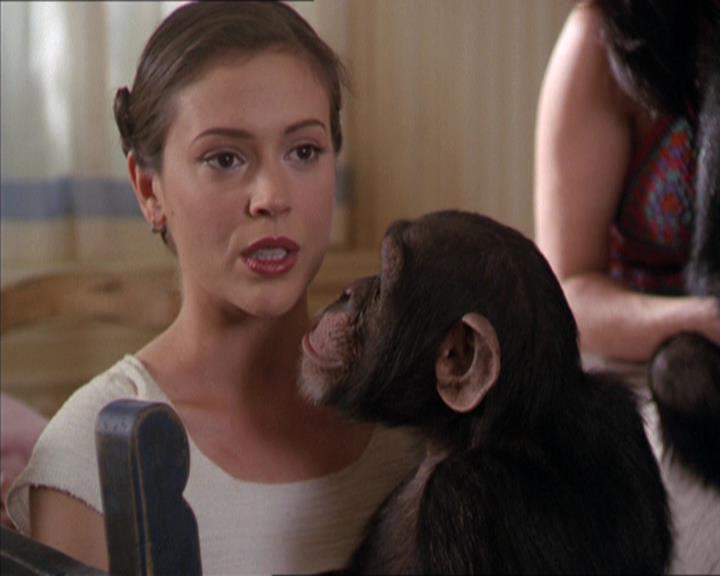 Charmed-Online-dot-220AstralMonkeys1501.jpg