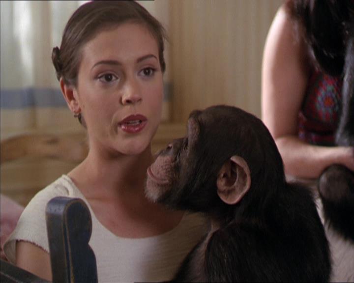 Charmed-Online-dot-220AstralMonkeys1503.jpg