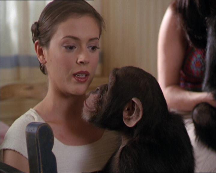 Charmed-Online-dot-220AstralMonkeys1506.jpg