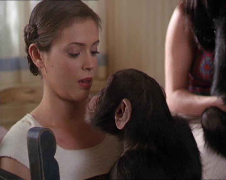 Charmed-Online-dot-220AstralMonkeys1507.jpg