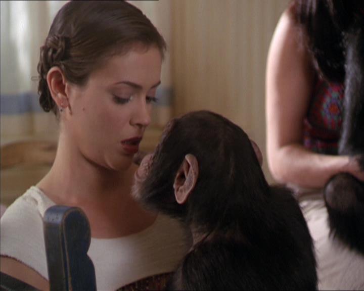 Charmed-Online-dot-220AstralMonkeys1508.jpg