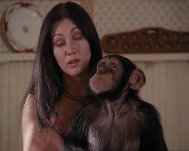 Charmed-Online-dot-220AstralMonkeys1510.jpg