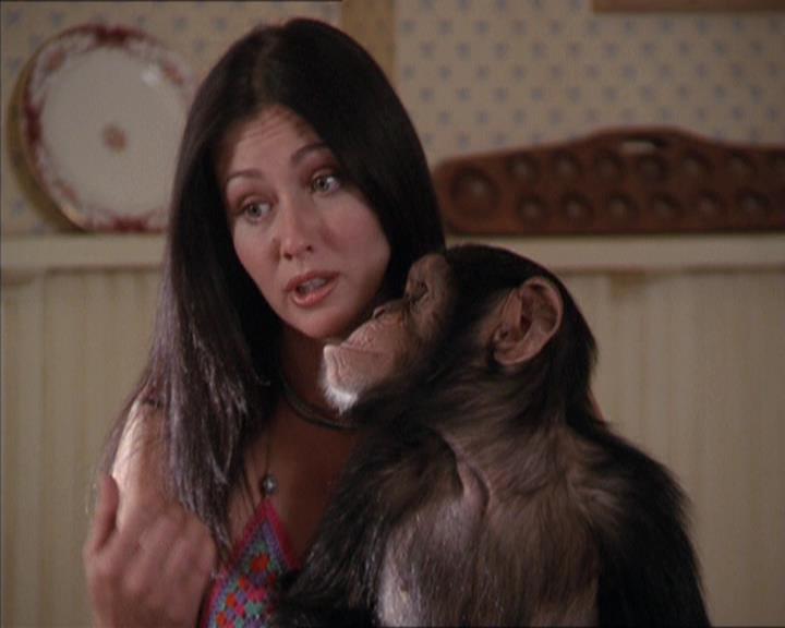 Charmed-Online-dot-220AstralMonkeys1512.jpg