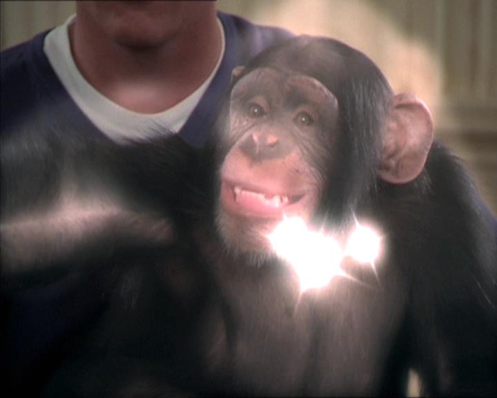 Charmed-Online-dot-220AstralMonkeys1719.jpg