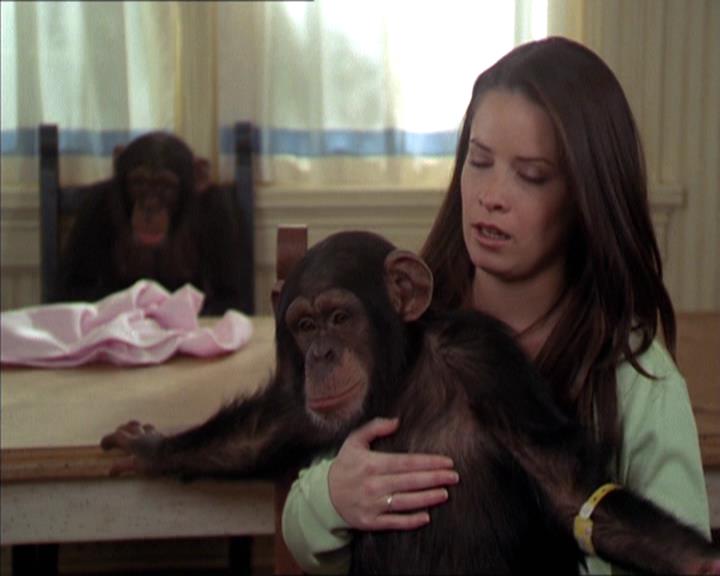 Charmed-Online-dot-220AstralMonkeys1730.jpg