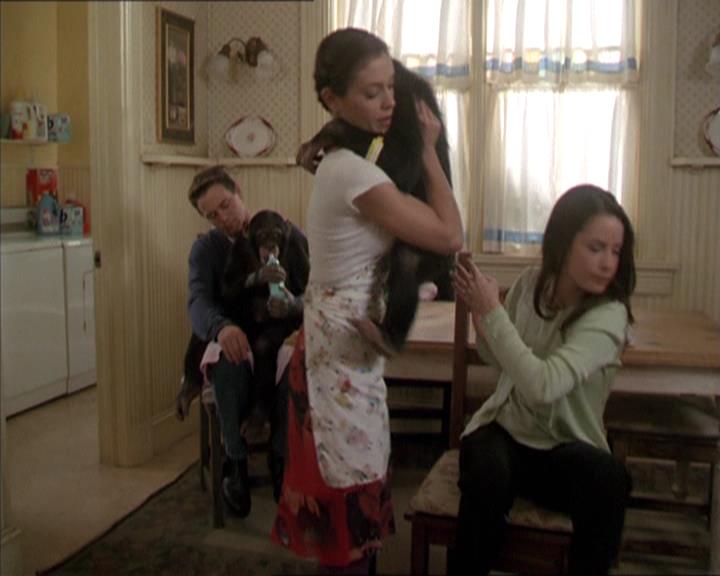 Charmed-Online-dot-220AstralMonkeys1733.jpg