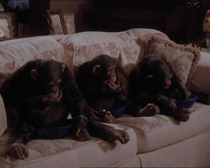 Charmed-Online-dot-220AstralMonkeys2178.jpg