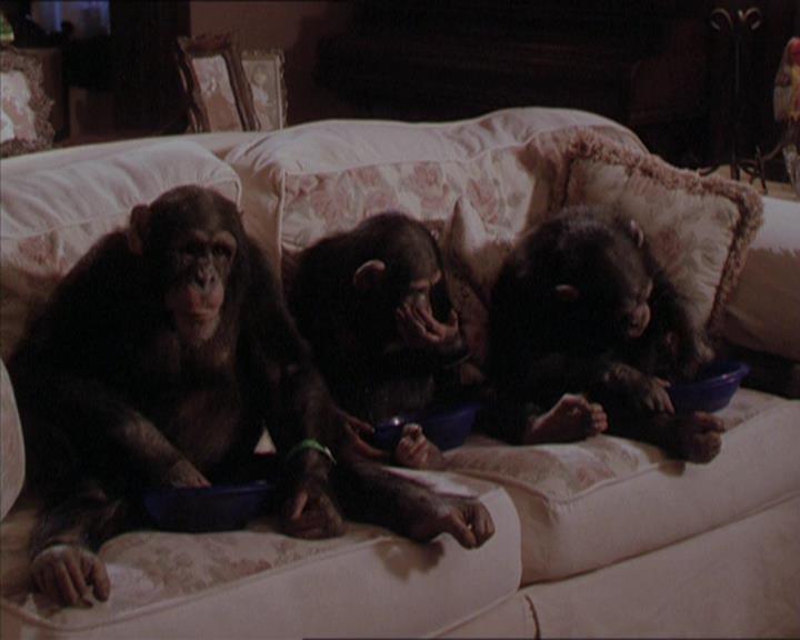 Charmed-Online-dot-220AstralMonkeys2179.jpg