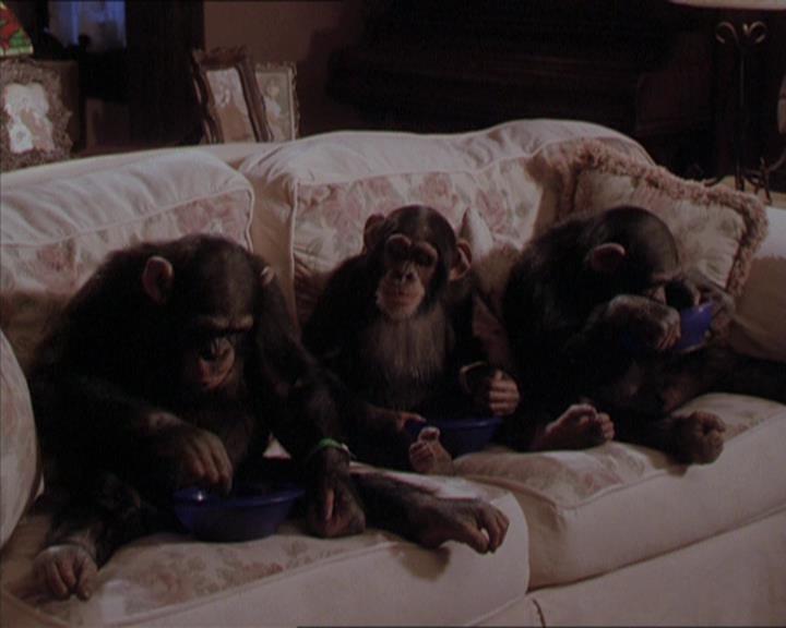 Charmed-Online-dot-220AstralMonkeys2184.jpg