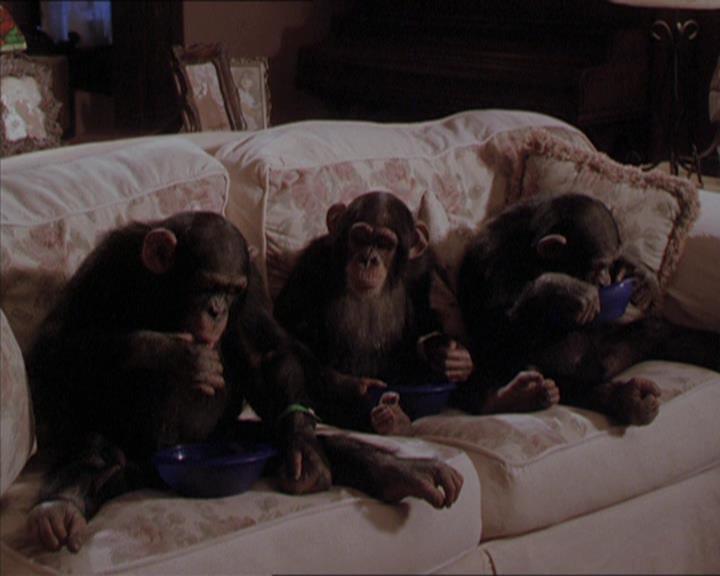 Charmed-Online-dot-220AstralMonkeys2185.jpg