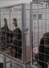 Charmed-Online-dot-220AstralMonkeys0218.jpg