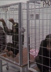 Charmed-Online-dot-220AstralMonkeys0220.jpg