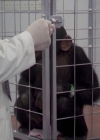 Charmed-Online-dot-220AstralMonkeys0227.jpg