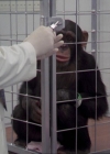Charmed-Online-dot-220AstralMonkeys0229.jpg
