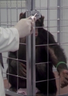 Charmed-Online-dot-220AstralMonkeys0232.jpg