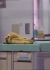 Charmed-Online-dot-220AstralMonkeys0398.jpg