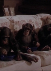 Charmed-Online-dot-220AstralMonkeys2184.jpg