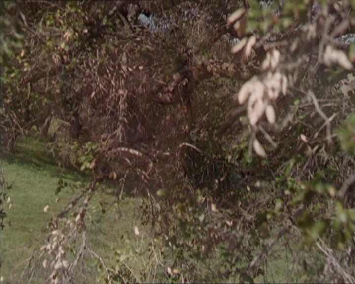 Charmed-Online-dot-221ApocalypseNot1296.jpg