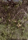 Charmed-Online-dot-221ApocalypseNot1297.jpg