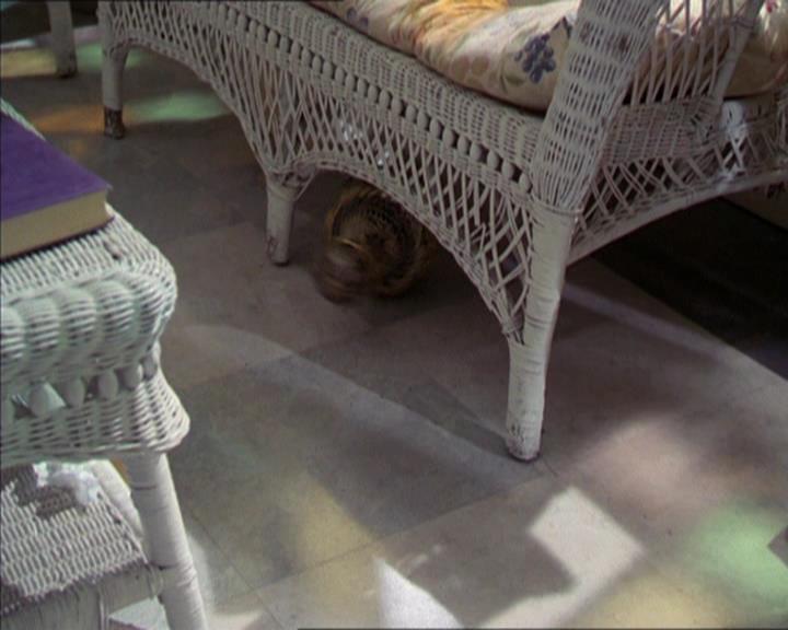 Charmed-Online-dot-222BeCarefulWhatYouWitchFor2087.jpg