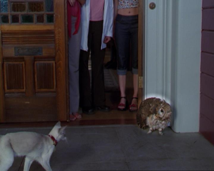 Charmed-Online_dot_net-3x02MagicHour0270.jpg