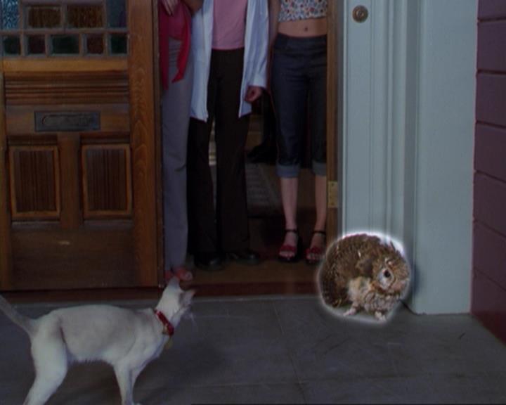 Charmed-Online_dot_net-3x02MagicHour0271.jpg Charmed-Online_dot_net-3x02MagicHour0271.jpg