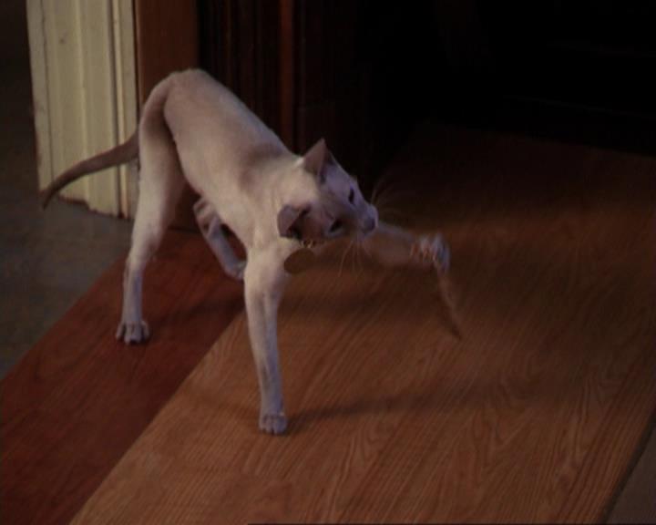 Charmed-Online_dot_net-3x02MagicHour0421.jpg Charmed-Online_dot_net-3x02MagicHour0421.jpg