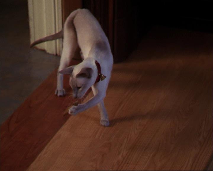 Charmed-Online_dot_net-3x02MagicHour0422.jpg Charmed-Online_dot_net-3x02MagicHour0422.jpg