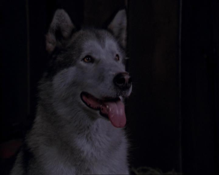Charmed-Online_dot_net-3x02MagicHour0916.jpg