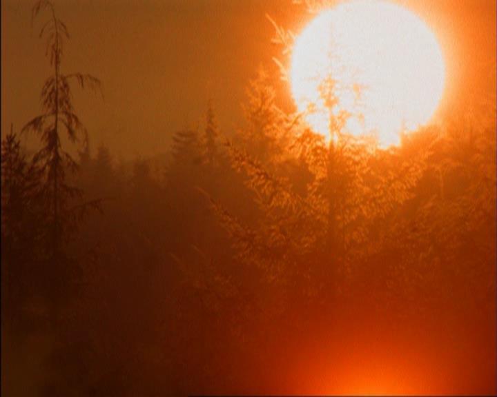 Charmed-Online_dot_net-3x02MagicHour0924.jpg