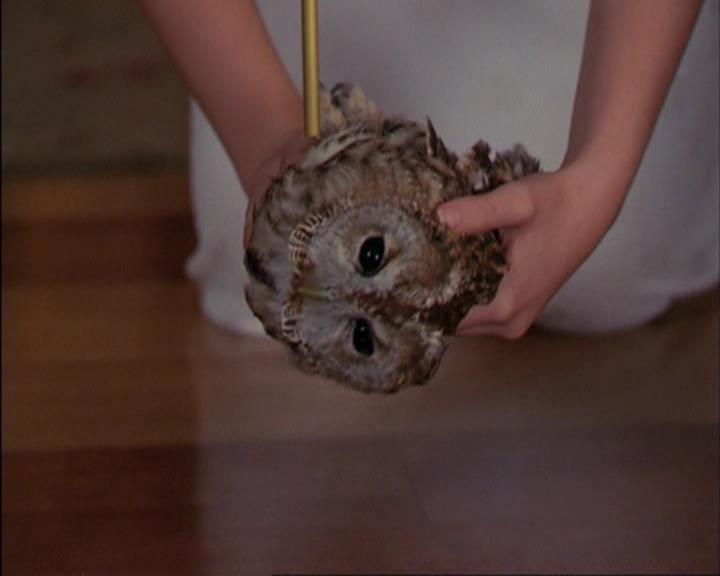 Charmed-Online_dot_net-3x02MagicHour1554.jpg