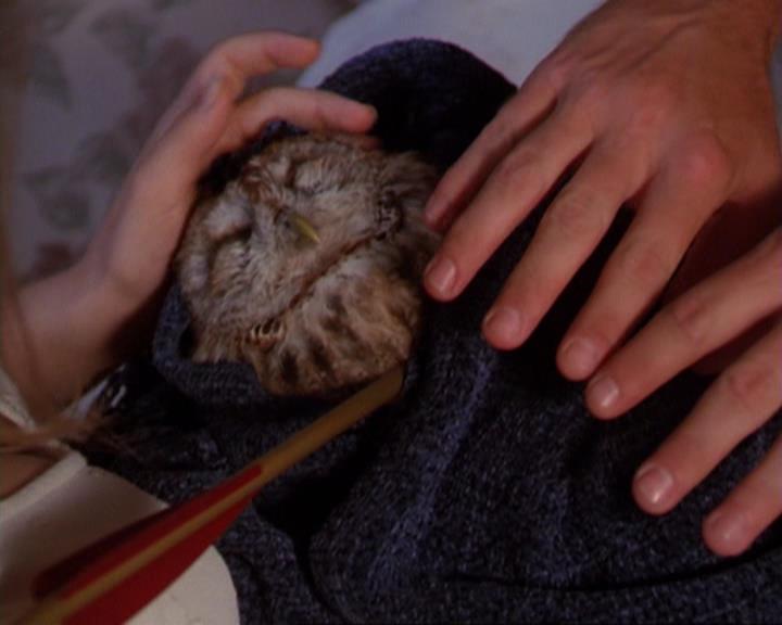 Charmed-Online_dot_net-3x02MagicHour1614.jpg