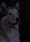 Bestandsnaam=Charmed-Online_dot_net-3x02MagicHour0916.jpg
Bestandsgrootte=18KiB
Afmetingen = 720x576
Datum toegevoegd = apr 06, 2014 Charmed-Online_dot_net-3x02MagicHour0916.jpg