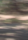 Charmed-Online_dot_net-3x02MagicHour1026.jpg