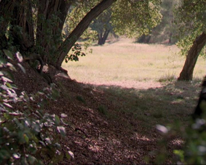 Charmed-Online_dot_net-3x04AllHalliwellsEve0394.jpg Charmed-Online_dot_net-3x04AllHalliwellsEve0394.jpg