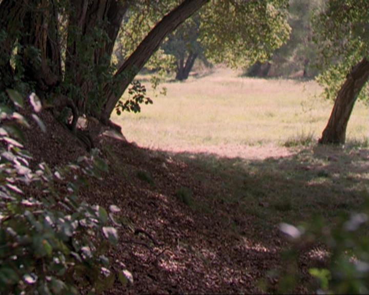 Charmed-Online_dot_net-3x04AllHalliwellsEve0395.jpg Charmed-Online_dot_net-3x04AllHalliwellsEve0395.jpg